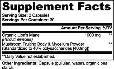 Lion's Mane Mushroom