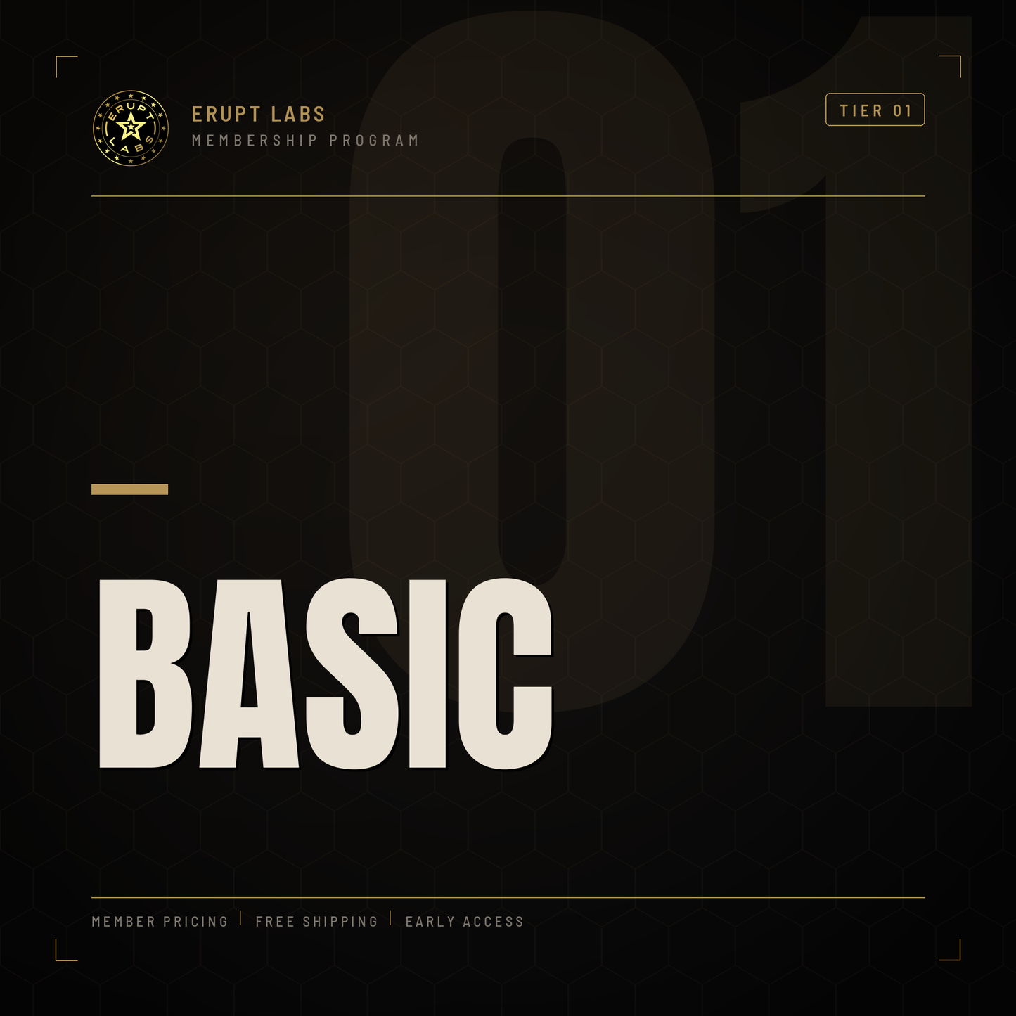 Basic Membership