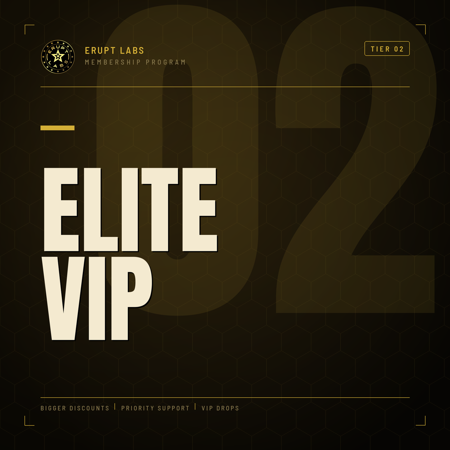 Elite Vip Membership